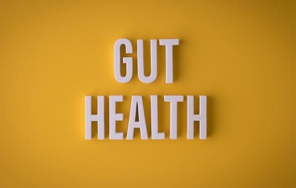 gut gut