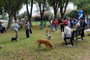 dog park