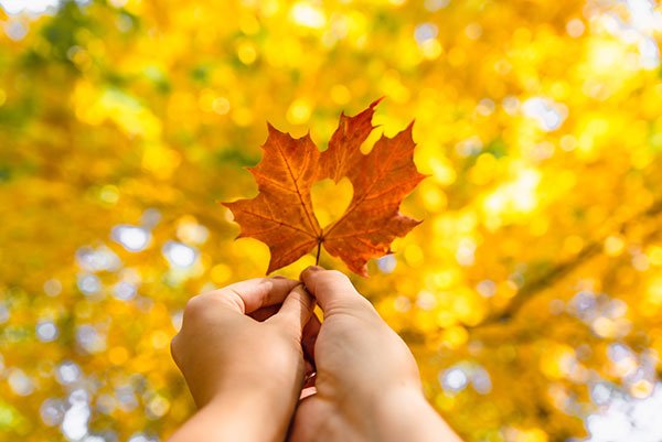 Activities to Enjoy this Fall