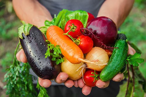 Vegetables you can Plant Now