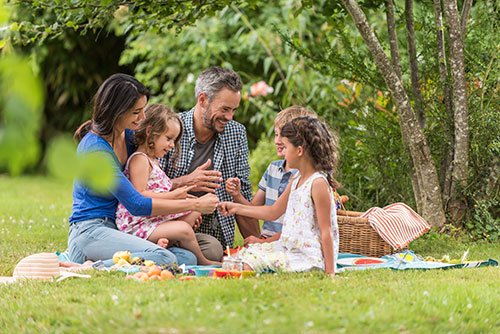 Picnic