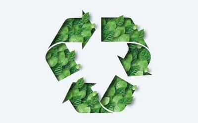 How To Be More Environmentally Friendly