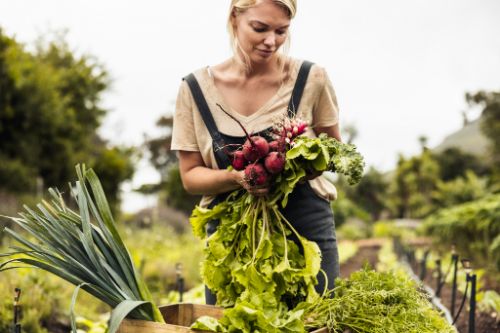 gardening