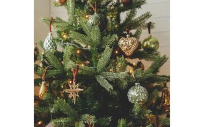 Pros and Cons of a live Christmas tree