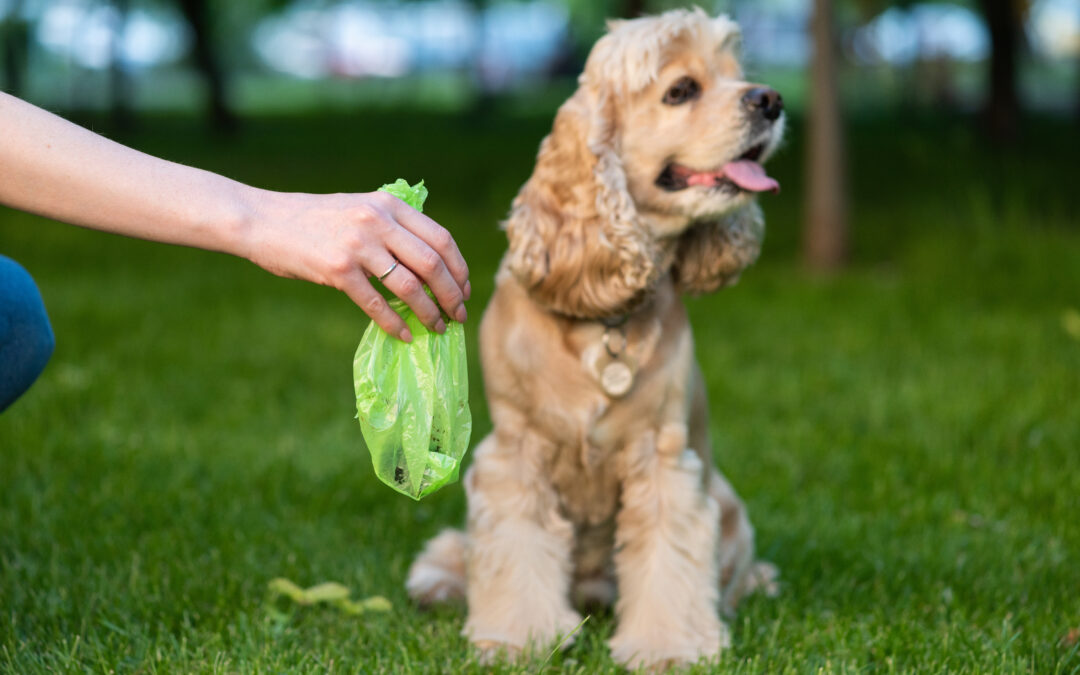 Why You Shouldn’t Become a Pet Parent (Unless You’re Really Ready)