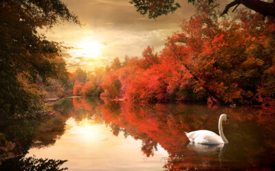 Fun Things to Do in the Fall: Simple Ways to Make the Most of the Season