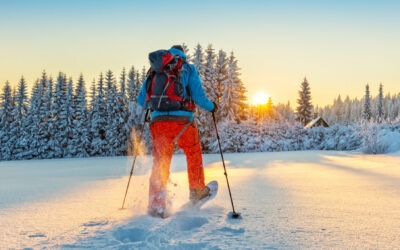 Why You Should Try Nordic Walking This Winter