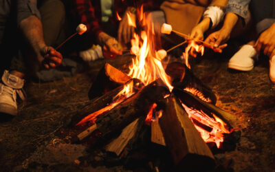 Adult Summer Camp Is Thriving (And It’s Not How You Remember It)