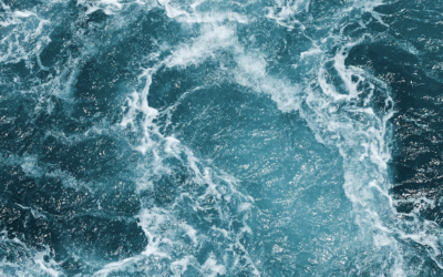 Scientists Found The “Death Ball” Creature In The Ocean