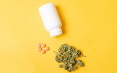 Why Millions of ADHD Adults Are Getting High Instead of Medicated