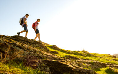 The Psychology Behind the “Alpine Divorce”