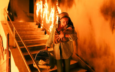 Why Carrying a Dog Out of a War Zone Is the Rational Choice